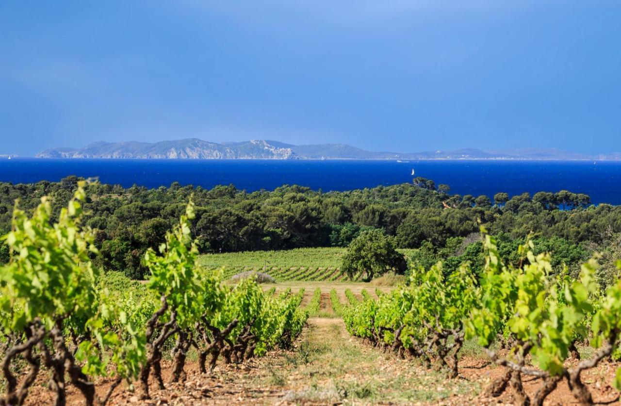 Studio Cabine Les Rives De La Faviere Piscine Et Tennis Les Pieds Dans L'Eau Bormes-les-Mimosas Εξωτερικό φωτογραφία